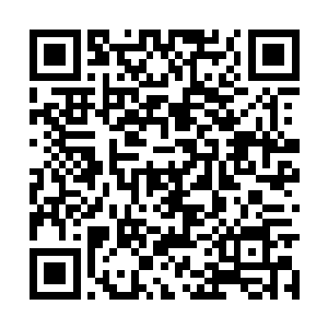 以及秦婉身上的穿着都是李大可硬逼着她收下的嘛二维码生成