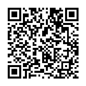 以及罪魁祸首一直下落不明的消息应该也已经传到了三大家那里二维码生成