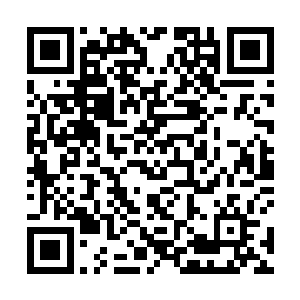 以及老弟能够调动多少黑虎星盗团的人反抗赵虎的统治二维码生成
