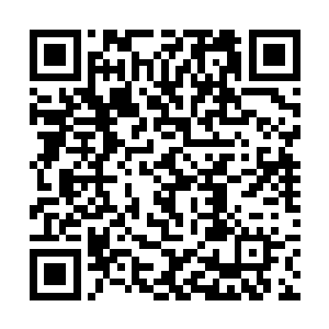 以及肆意生长的植被……却唯独不见什么修士的洞府二维码生成