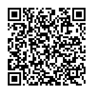 以及胸前那轮血红的红日顿时让下面攻击中的联邦的机甲士全体愤怒了二维码生成