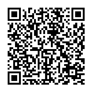 以及自己放低身段的态度……对方还不至于因为这种程度的冒犯而出手二维码生成