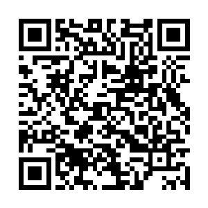 以及自己的见识技能一点点修正原主的生活和命运二维码生成