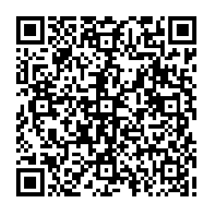 以及藏身在冥河之中的白色巨蟒和黑色巨狼的确可以杀死或者是拖住这些邪魔后裔二维码生成