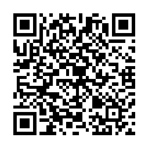 以及负担累累的老东北……一个关于梦想与时代的变迁故事二维码生成
