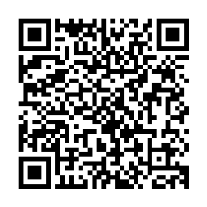 以及资源共享计划让创新艺术家经纪公司获得的对外强大竞争力二维码生成