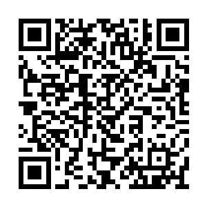 以及运用的方式显然都和龙珠宇宙的人有所差异二维码生成