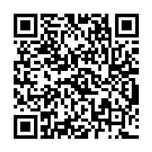 以及这些触须的束缚还不足真正的伤害到他或者是桎梏住他二维码生成