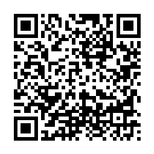 以及这种居高临下的状态……我只有一个技能可以选择二维码生成