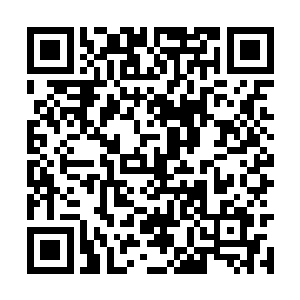 以及这种霸屏所带给几位男女主角的强大光环加持二维码生成