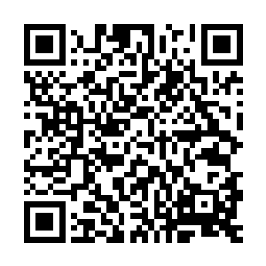 以及那上古巫族的镇族大阵十二都天神煞大阵他却是久仰大名了二维码生成