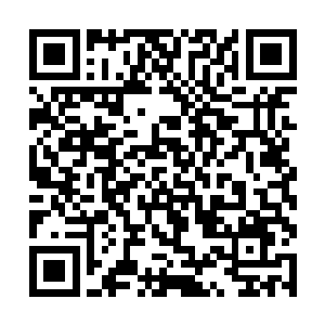 以及那位在卫天冲坠崖的时候救他上来的灵师吕辰阳二维码生成