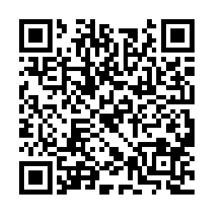 以及那位天启京年轻一代修士中最强者……冉青衣二维码生成