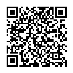 以及那把从座位下突然抽出的长砍刀所反射的耀眼光芒二维码生成