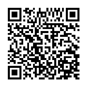 以及那边躺在地上的梵天……却发现梵天居然还有点情绪的波动二维码生成