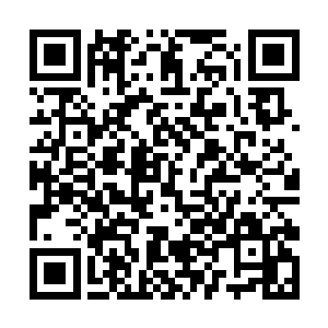 以及防备心重的职毛病好像也就随着前世烟消云散了二维码生成