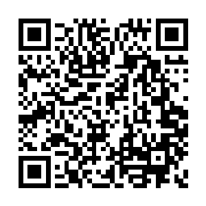 以及零城战斗人员的防线……天空的飞行器……二维码生成