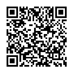 以及零散的分布在各个骨头架子旁边的黑暗魔核二维码生成