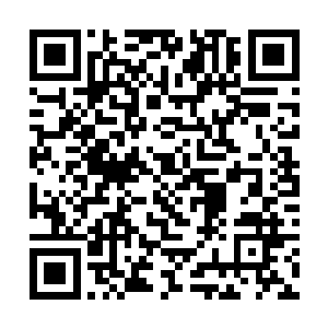 以及驻扎着一个幽府军中队和几十头生化战兽的区域二维码生成