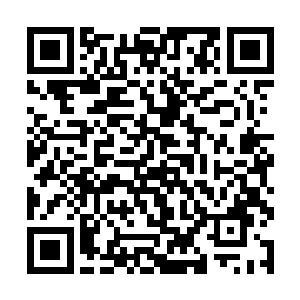 以司马明光炼虚初期的修为竟然没有杀死一只影狼兽二维码生成