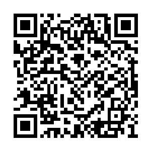 以后……莫昕岚悄悄看了看闭着眼睛沉思的姜氏二维码生成