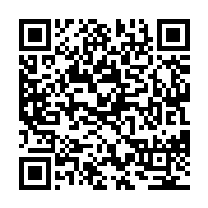 以后不知道哪一天才有机会去大上海的十里洋场逛逛呢二维码生成