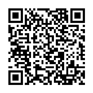 以后不管是对天地的领悟还是其他都将有极大的阻碍二维码生成