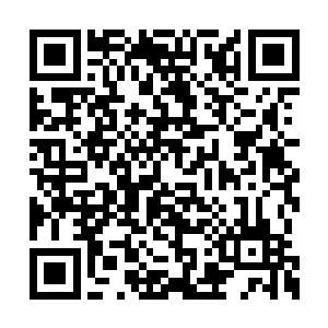 以后东南航空的具体业务不需要你们楚家操心了二维码生成