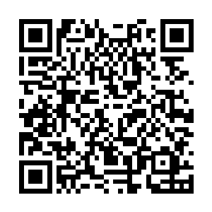 以后会一直让小妹还有自己所有的家人都这么快乐二维码生成