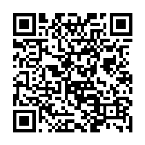 以后估计少不了还要跟武帝城那只老王八也斗上一斗二维码生成