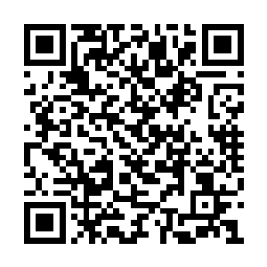 以后你们家每年都在金海城都有一份固定的红利二维码生成