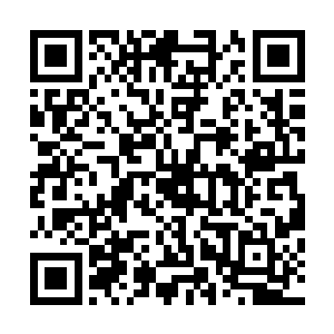 以后你们拉屎啊睡觉啊上床啊洗澡啊什么的都得先给我磕头二维码生成