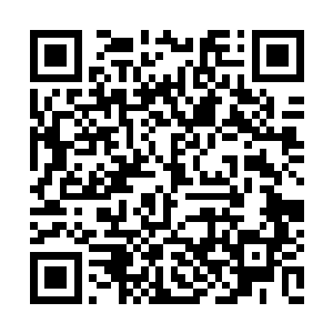 以后出去哪里都让她们呆在自己的乾坤世界里面二维码生成