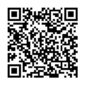 以后唐劫只要每过一段时间过来补充恢复一下就成了二维码生成