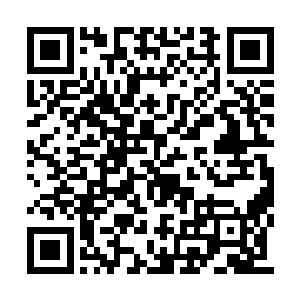 以后大家都可以通过这个视频直播平台进行直播二维码生成