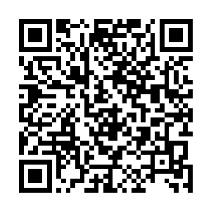 以后天国的一切决策无条件支持――毕竟他们实在是害怕二维码生成