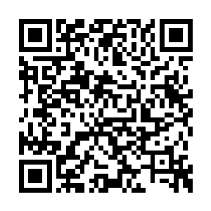 以后如果不出意外继承定王府的就应当是墨小宝二维码生成