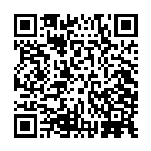 以后就将这里当做给蛇人族和白羽门后辈提升实力的地方吧二维码生成
