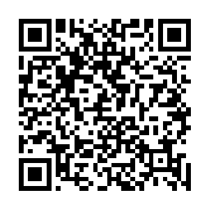 以后就没有人敢这么阳奉阴违地违抗本宫的命令放你出来了二维码生成