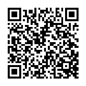 以后总不可能是她管理的任务世界就不接任务了吧二维码生成