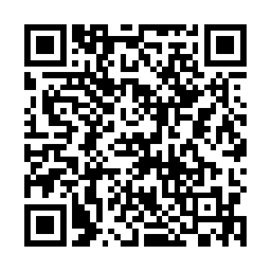 以后或许可以将自己的族人的世界并入到梓箐的社区中二维码生成