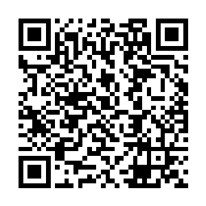 以后教体系统如果再出了像小雨点幼儿园这样的事情二维码生成