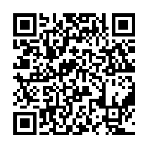 以后是别想着去老丈人那里借着拜年名头顺手牵羊了二维码生成