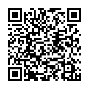 以后每个月都选一天为在这个月过生日的同事集中庆祝二维码生成