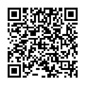 以后肯定能当个比他徐骁更称职也更能服众的藩王二维码生成