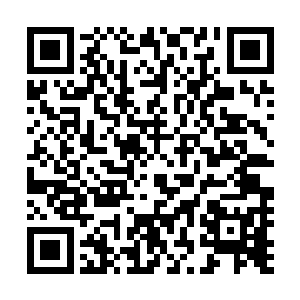 以后若是姐姐有什么对不住你的地方……你可千万不要见怪二维码生成