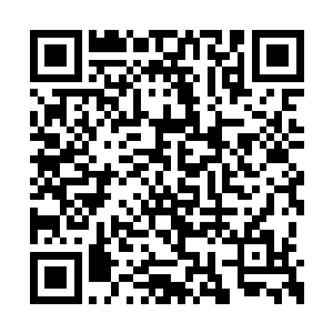 以后这里将会变成我们琉璃世界体系历练的地方二维码生成