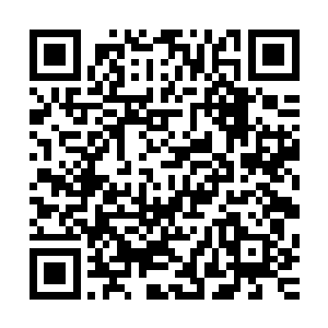 以后都看不到离挺着大肚子在自己面前走来走去的可爱模样了二维码生成
