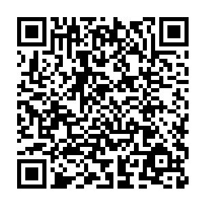 以唐浩在眼光相信自己现在可能找到了一种藏于民间的不可多得的斗犬二维码生成