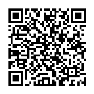 以墨小宝为首的三个小包子每天没事就围着两个宝宝打转二维码生成